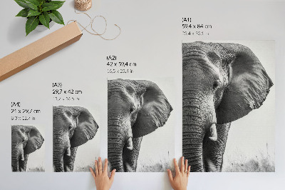 Poster na stenu Monochromatická atmosféra, pokrčená koža, elegancia