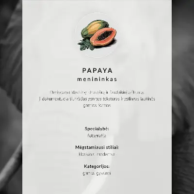 Plagát slony pri západe slnka so stromami v pozadí