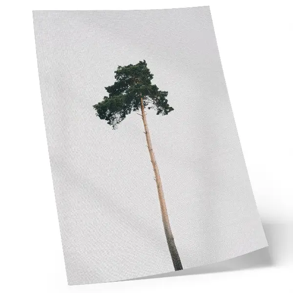 Plagát osamelý strom na svetlom pozadí v minimalistickom štýle