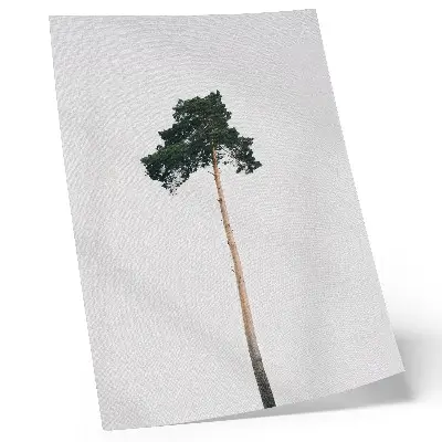 Plagát osamelý strom na svetlom pozadí v minimalistickom štýle