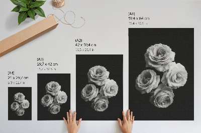 Poster na stenu Čiernobiele ruže minimalizmus klasika elegancia