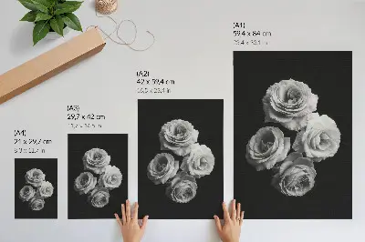 Plagát na stenu čiernobiele ruže v minimalistickom a elegantnom štýle