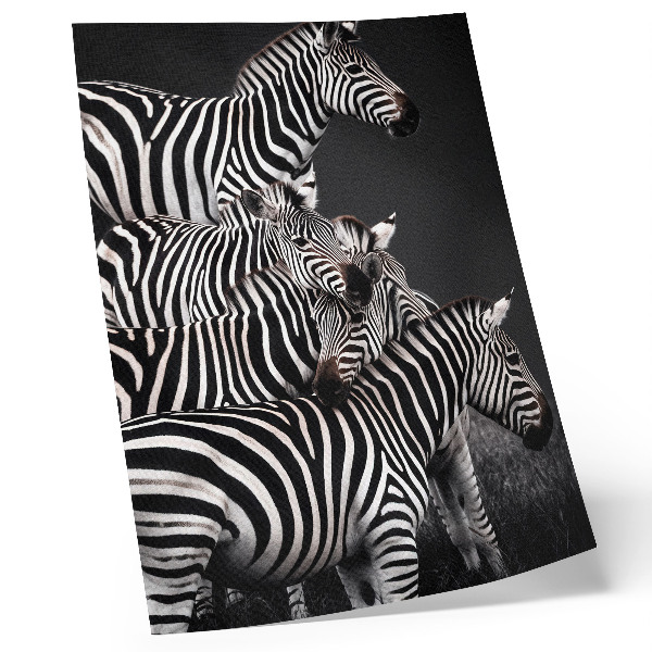 Plagát do obývačky Zebra kontrastuje čiernobielymi zvislými čiarami