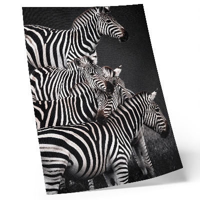 Plagát do obývačky Zebra kontrastuje čiernobielymi zvislými čiarami