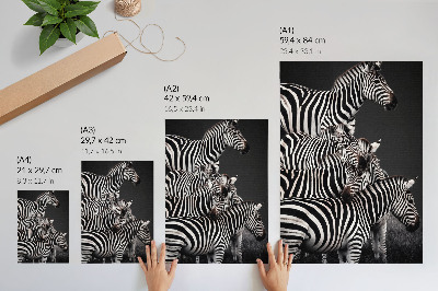 Plagát do obývačky Zebra kontrastuje čiernobielymi zvislými čiarami