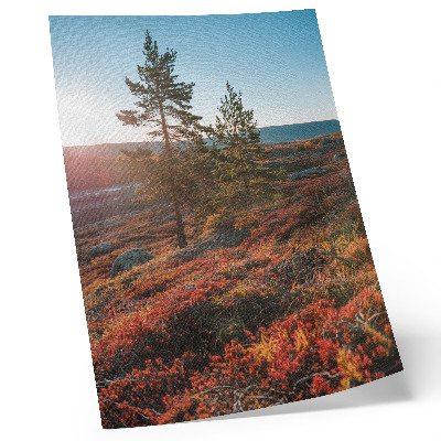 Poster na stenu Majestátne stromy, teplé farby, pokojná atmosféra