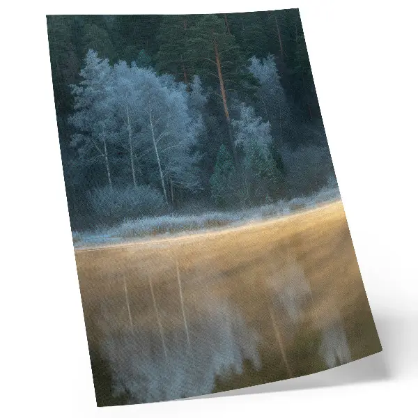 Poster na stenu tichý les nad vodnou hladinou s mystickou aurou