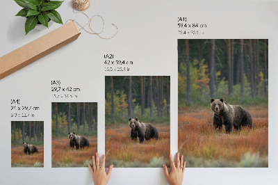 Poster na stenu Medveď v jesennom lese, prirodzenosť a pokoj