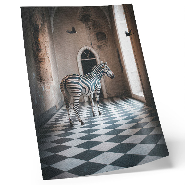 Poster na stenu Zebra na pozadí architektúry s vtákmi za letu