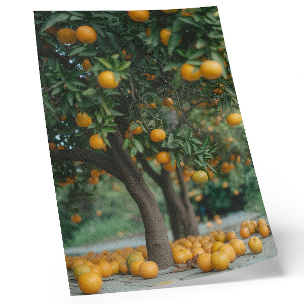 Poster na stenu Šťavnaté pomaranče na strome v zelenom sade