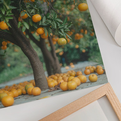 Poster na stenu Šťavnaté pomaranče na strome v zelenom sade