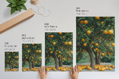 Poster na stenu Šťavnaté pomaranče na strome v zelenom sade