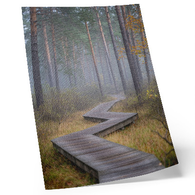 Poster na stenu Drevený chodník medzi stromami v hmle