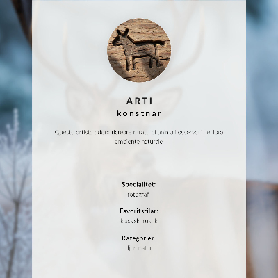 Plagát Vlk v zimnom lese príroda ticho elegancia