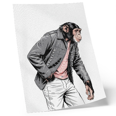 Poster na stenu Štýlový šimpanz v kontrastnej grafickej bunde