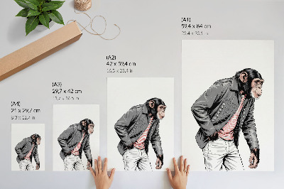 Poster na stenu Štýlový šimpanz v kontrastnej grafickej bunde