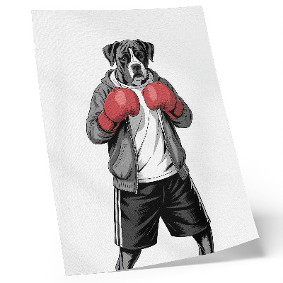 Plagát do obývačky Boxerské rukavice pre psov boxerov v športovom štýle