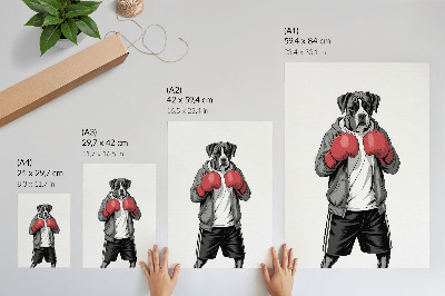 Plagát do obývačky Boxerské rukavice pre psov boxerov v športovom štýle