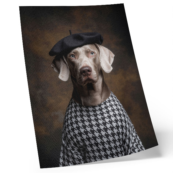 Plagát do obývačky Pes v baretovej vzorovanej veste elegancia