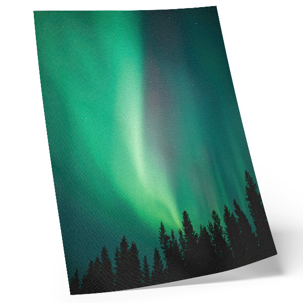 Plagát Aurora zelená stromy noc magická príroda