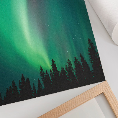 Plagát Aurora zelená stromy noc magická príroda