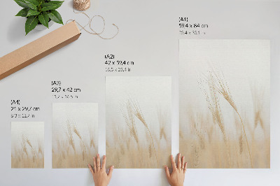 Plagát do obývačky Minimalistická elegancia klasov obilia