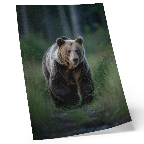 Poster na stenu Hrdý medveď v lesnom prostredí