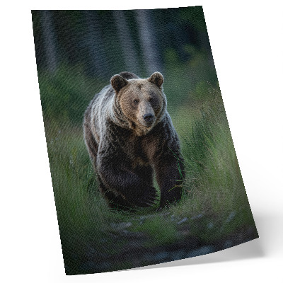 Poster na stenu Hrdý medveď v lesnom prostredí