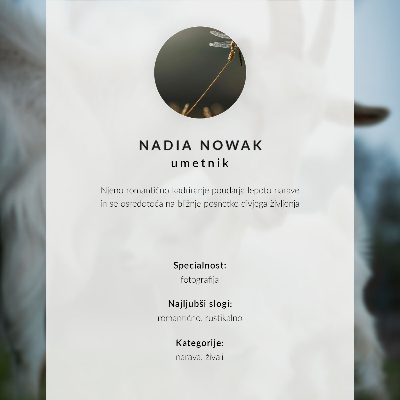 Plagát Dobytok v snehu: kontrast zvieraťa a prírody