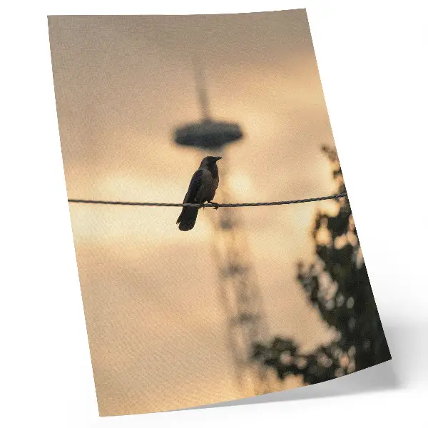 Poster na stenu vták na drôte s jemným pozadím večernej oblohy