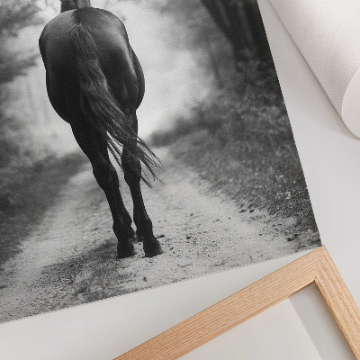 Poster na stenu Fotografia čiernobieleho koňa v lese