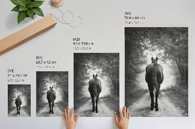 Poster na stenu Fotografia čiernobieleho koňa v lese