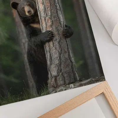 Plagát medveď v lese v realistickom vyhotovení