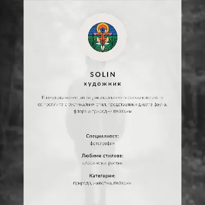 Plagát sova na konári so žltými listami