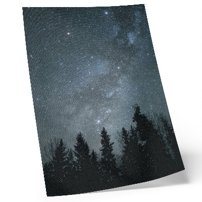 Poster na stenu Nočná obloha plná hviezd a siluet stromov