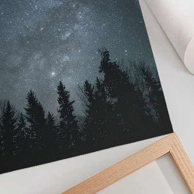 Poster na stenu Nočná obloha plná hviezd a siluet stromov