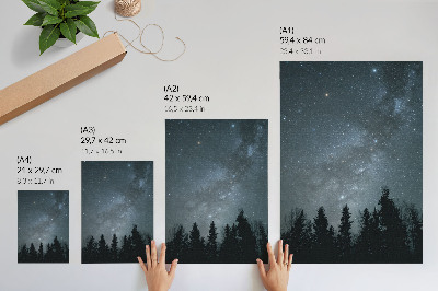 Poster na stenu Nočná obloha plná hviezd a siluet stromov