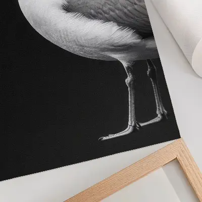 Plagát do obývačky minimalistický čiernobiely obraz s motívom vtáka