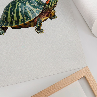 Poster na stenu Zelená korytnačka s detailmi prírodnej harmónie