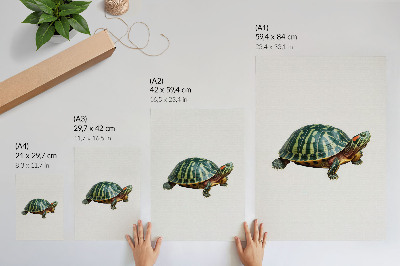 Poster na stenu Zelená korytnačka s detailmi prírodnej harmónie