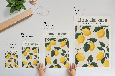 Poster na stenu Šťavnaté citróny so zelenými listami a krémovým pozadím