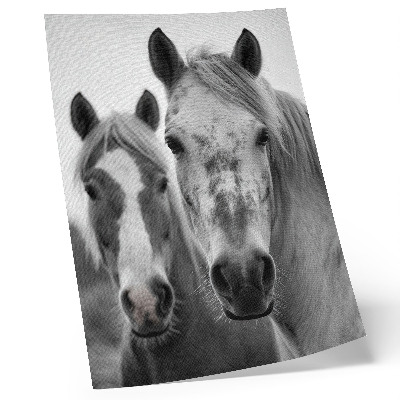 Poster na stenu Kone v monochromatickom zábere plnom elegancie