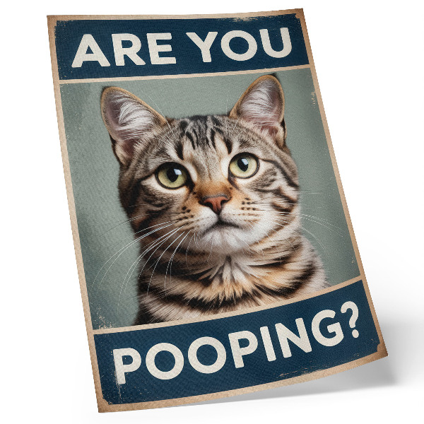 Poster na stenu Mierne humorný retro portrét mačky