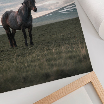 Poster na stenu Kôň na lúke, oblaky, ráno, harmónia prírody