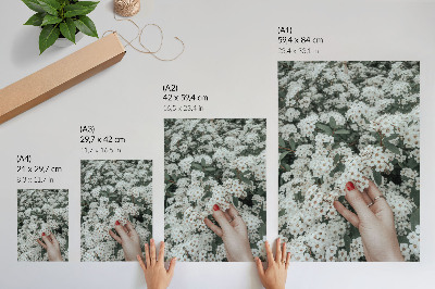 Poster na stenu Biele kvety zelená ruka červené nechty