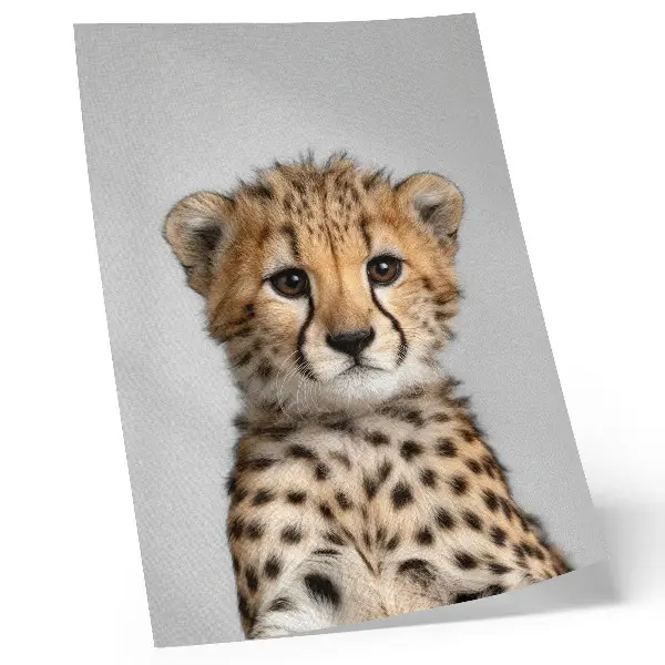 Plagát na stenu roztomilý gepard s minimalistickým pozadím
