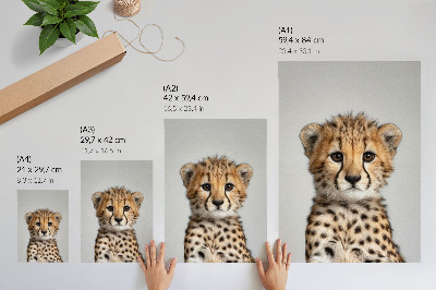 Poster na stenu Roztomilý gepard s minimalistickým pozadím a jemnosťou