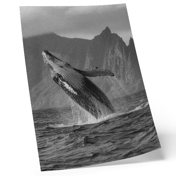 Poster na stenu Fotografia skákajúcej veľryby s horami v pozadí.