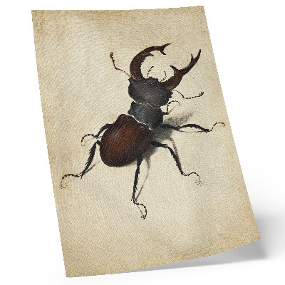 Plagát do obývačky Roháč od Albrechta Dürera (1505)