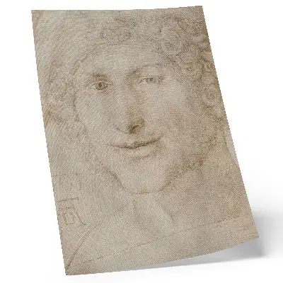 Plagát Hlava mladého muža (1503) od Albrechta Dürera plagát s umeleckým dielom Hlava mladého muža od Albrechta Dürera z roku 1503